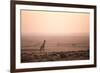 Kenya, Mara North Conservancy. a Young Giraffe with Never Ending Plains of Maasai Mara Behind-Niels Van Gijn-Framed Photographic Print