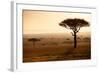 Kenya, Mara North Conservancy. Mara North Landscape at Dawn.-Niels Van Gijn-Framed Photographic Print