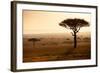 Kenya, Mara North Conservancy. Mara North Landscape at Dawn.-Niels Van Gijn-Framed Photographic Print