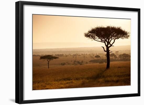 Kenya, Mara North Conservancy. Mara North Landscape at Dawn.-Niels Van Gijn-Framed Photographic Print