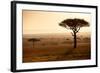 Kenya, Mara North Conservancy. Mara North Landscape at Dawn.-Niels Van Gijn-Framed Photographic Print