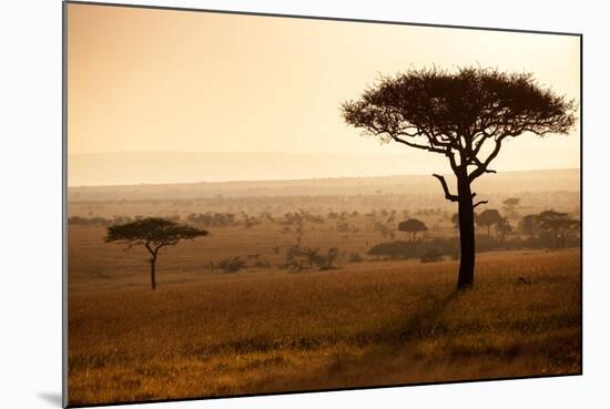 Kenya, Mara North Conservancy. Mara North Landscape at Dawn.-Niels Van Gijn-Mounted Photographic Print