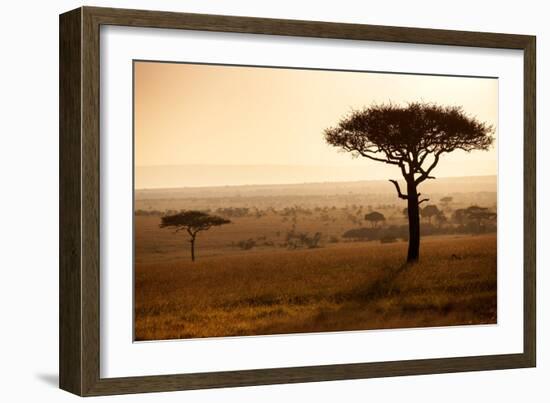 Kenya, Mara North Conservancy. Mara North Landscape at Dawn.-Niels Van Gijn-Framed Photographic Print