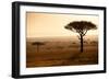 Kenya, Mara North Conservancy. Mara North Landscape at Dawn.-Niels Van Gijn-Framed Photographic Print