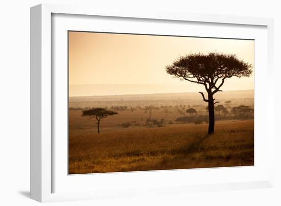 Kenya, Mara North Conservancy. Mara North Landscape at Dawn.-Niels Van Gijn-Framed Photographic Print