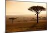 Kenya, Mara North Conservancy. Mara North Landscape at Dawn.-Niels Van Gijn-Mounted Photographic Print