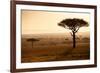 Kenya, Mara North Conservancy. Mara North Landscape at Dawn.-Niels Van Gijn-Framed Photographic Print