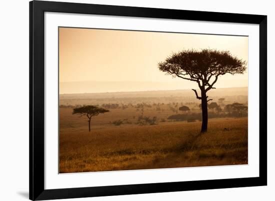 Kenya, Mara North Conservancy. Mara North Landscape at Dawn.-Niels Van Gijn-Framed Photographic Print