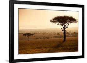 Kenya, Mara North Conservancy. Mara North Landscape at Dawn.-Niels Van Gijn-Framed Photographic Print