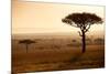 Kenya, Mara North Conservancy. Mara North Landscape at Dawn.-Niels Van Gijn-Mounted Photographic Print