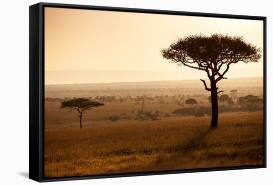 Kenya, Mara North Conservancy. Mara North Landscape at Dawn.-Niels Van Gijn-Framed Stretched Canvas