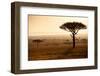Kenya, Mara North Conservancy. Mara North Landscape at Dawn.-Niels Van Gijn-Framed Photographic Print
