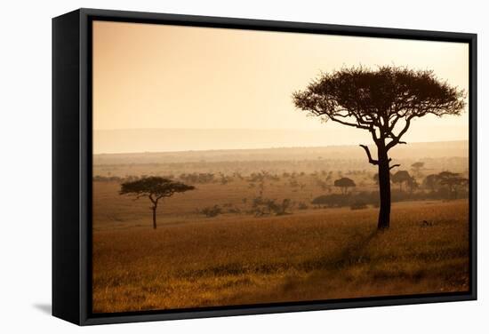 Kenya, Mara North Conservancy. Mara North Landscape at Dawn.-Niels Van Gijn-Framed Stretched Canvas
