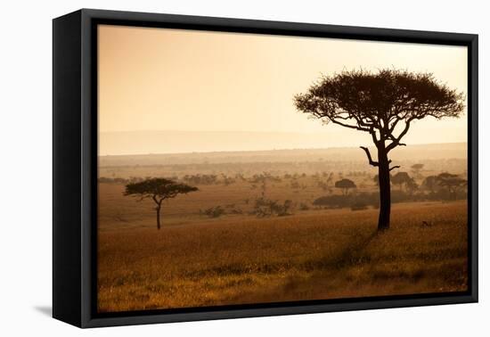 Kenya, Mara North Conservancy. Mara North Landscape at Dawn.-Niels Van Gijn-Framed Stretched Canvas