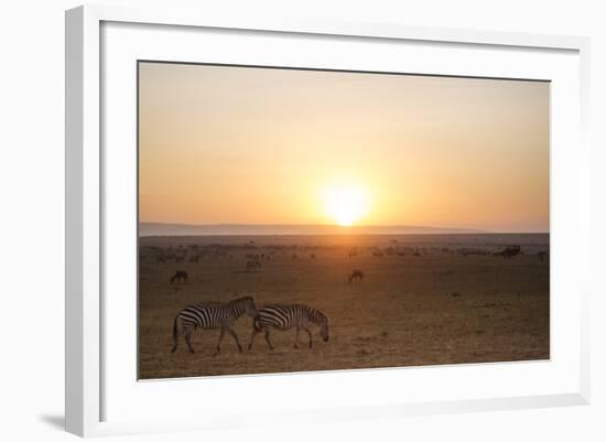 Kenya, Mara North Conservancy. Plains Game Graze in Morning Light, Mara North Conservancy-Niels Van Gijn-Framed Photographic Print