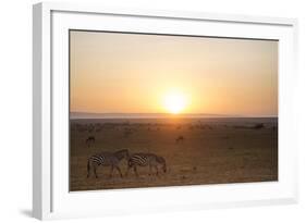 Kenya, Mara North Conservancy. Plains Game Graze in Morning Light, Mara North Conservancy-Niels Van Gijn-Framed Photographic Print