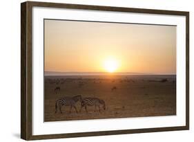 Kenya, Mara North Conservancy. Plains Game Graze in Morning Light, Mara North Conservancy-Niels Van Gijn-Framed Photographic Print