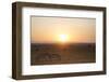 Kenya, Mara North Conservancy. Plains Game Graze in Morning Light, Mara North Conservancy-Niels Van Gijn-Framed Photographic Print