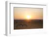 Kenya, Mara North Conservancy. Plains Game Graze in Morning Light, Mara North Conservancy-Niels Van Gijn-Framed Photographic Print