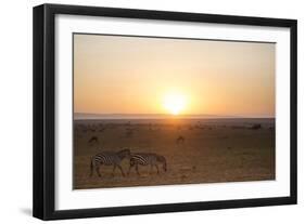 Kenya, Mara North Conservancy. Plains Game Graze in Morning Light, Mara North Conservancy-Niels Van Gijn-Framed Photographic Print