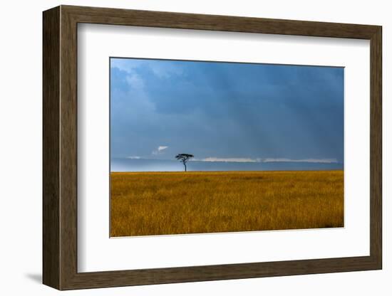 Kenya, Masai Mara, Lone tree-George Theodore-Framed Photographic Print