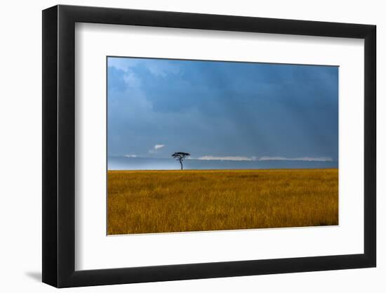 Kenya, Masai Mara, Lone tree-George Theodore-Framed Photographic Print