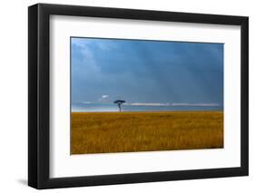 Kenya, Masai Mara, Lone tree-George Theodore-Framed Photographic Print