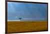 Kenya, Masai Mara, Lone tree-George Theodore-Framed Photographic Print