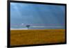 Kenya, Masai Mara, Lone tree-George Theodore-Framed Photographic Print