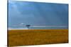 Kenya, Masai Mara, Lone tree-George Theodore-Stretched Canvas