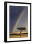 Kenya, Masai Mara, Narok County. a Brilliant Rainbow in Masai Mara National Reserve.-Nigel Pavitt-Framed Photographic Print