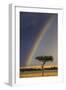 Kenya, Masai Mara, Narok County. a Brilliant Rainbow in Masai Mara National Reserve.-Nigel Pavitt-Framed Photographic Print