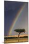 Kenya, Masai Mara, Narok County. a Brilliant Rainbow in Masai Mara National Reserve.-Nigel Pavitt-Mounted Photographic Print