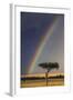 Kenya, Masai Mara, Narok County. a Brilliant Rainbow in Masai Mara National Reserve.-Nigel Pavitt-Framed Photographic Print