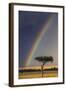 Kenya, Masai Mara, Narok County. a Brilliant Rainbow in Masai Mara National Reserve.-Nigel Pavitt-Framed Photographic Print