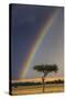 Kenya, Masai Mara, Narok County. a Brilliant Rainbow in Masai Mara National Reserve.-Nigel Pavitt-Stretched Canvas