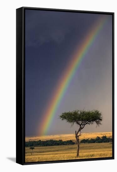 Kenya, Masai Mara, Narok County. a Brilliant Rainbow in Masai Mara National Reserve.-Nigel Pavitt-Framed Stretched Canvas