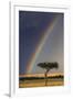 Kenya, Masai Mara, Narok County. a Brilliant Rainbow in Masai Mara National Reserve.-Nigel Pavitt-Framed Photographic Print