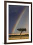 Kenya, Masai Mara, Narok County. a Brilliant Rainbow in Masai Mara National Reserve.-Nigel Pavitt-Framed Photographic Print