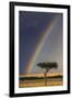 Kenya, Masai Mara, Narok County. a Brilliant Rainbow in Masai Mara National Reserve.-Nigel Pavitt-Framed Photographic Print