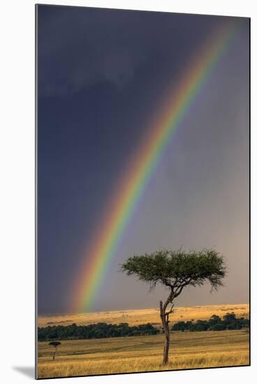 Kenya, Masai Mara, Narok County. a Brilliant Rainbow in Masai Mara National Reserve.-Nigel Pavitt-Mounted Photographic Print