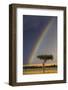 Kenya, Masai Mara, Narok County. a Brilliant Rainbow in Masai Mara National Reserve.-Nigel Pavitt-Framed Photographic Print