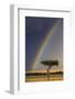 Kenya, Masai Mara, Narok County. a Brilliant Rainbow in Masai Mara National Reserve.-Nigel Pavitt-Framed Photographic Print