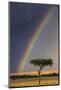 Kenya, Masai Mara, Narok County. a Brilliant Rainbow in Masai Mara National Reserve.-Nigel Pavitt-Mounted Photographic Print