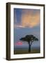 Kenya, Masai Mara, Narok County. Sunrise in Masai Mara National Reserve.-Nigel Pavitt-Framed Photographic Print