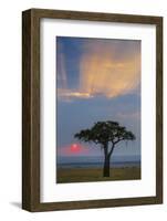 Kenya, Masai Mara, Narok County. Sunrise in Masai Mara National Reserve.-Nigel Pavitt-Framed Photographic Print