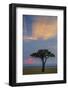 Kenya, Masai Mara, Narok County. Sunrise in Masai Mara National Reserve.-Nigel Pavitt-Framed Photographic Print