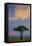 Kenya, Masai Mara, Narok County. Sunrise in Masai Mara National Reserve.-Nigel Pavitt-Framed Stretched Canvas