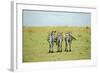 Kenya, Masai Mara National Reserve, Rear View of Zebras Looking at the Plain-Anthony Asael-Framed Photographic Print