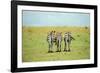 Kenya, Masai Mara National Reserve, Rear View of Zebras Looking at the Plain-Anthony Asael/Art in All of Us-Framed Photographic Print